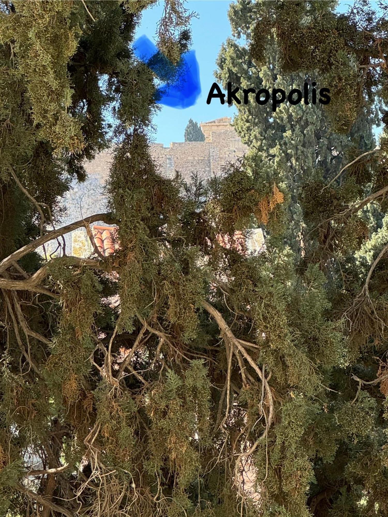 Plaka K15 Apartment Athens Ngoại thất bức ảnh